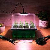 HomeBuddy 5 Pack Seed Starter Tray with Grow Light Seed Starter Kit Seedling Starter Trays with Humidity Dome Mini Indoor Greenhouse Germination Propagation Planting Tray (12 Cells per Tray)